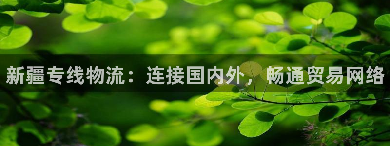 ,优游国际免费充钱：新疆专线物流：连