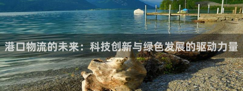 ,优游国际加拿大官网:港口物流的未来