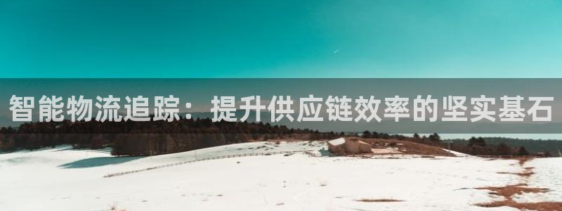 优游国际官方网站：智能物流追踪：提升