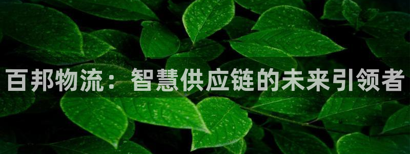 ,优游国际自行车图片大全：百邦物流：