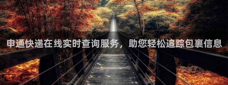 ,优游国际口：申通快递在线实时查询服