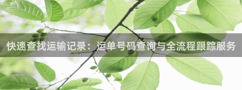 ,优游国际是正规平台吗：快速查找运输