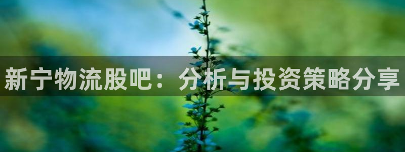 加拿大,优游国际是什么：新宁物流股吧