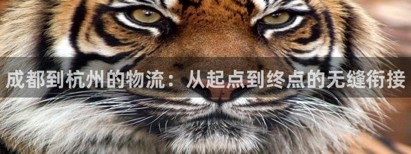 ,优游国际注册平台：成都到杭州的物流