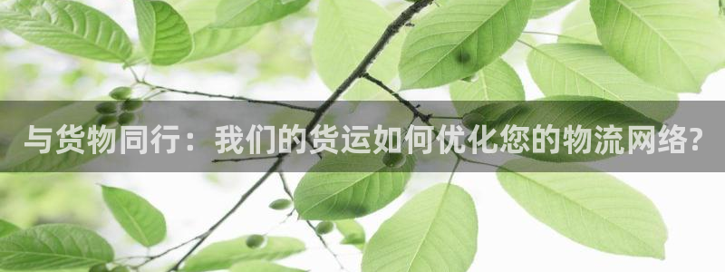 ,优游国际ccm游戏：与货物同行：我们的货运如何优化您的物流