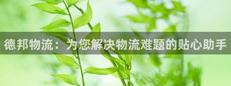 ,优游国际那个才是充值账号：德邦物流