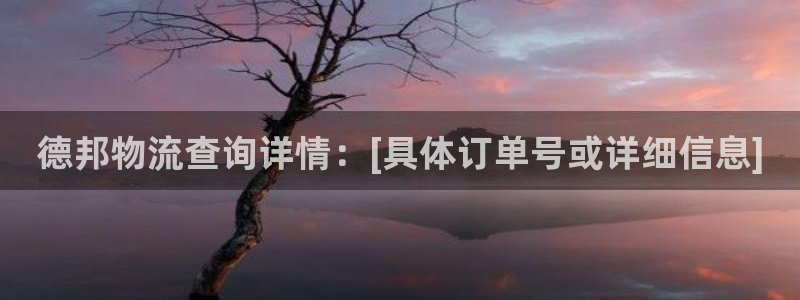 ,优游国际能不能退：德邦物流查询详情
