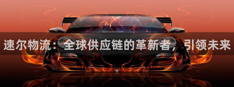 ,优游国际稳吗：速尔物流：全球供应链