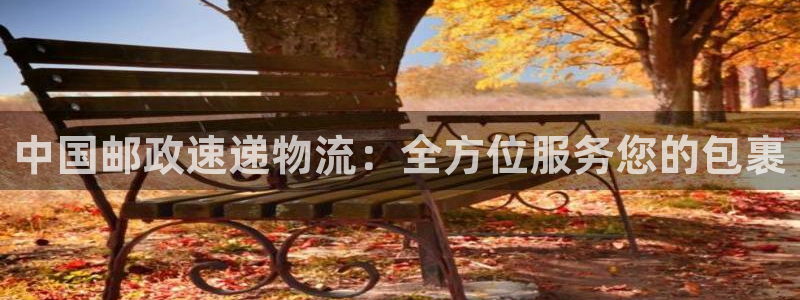 ,优游国际圈：中国邮政速递物流：全方