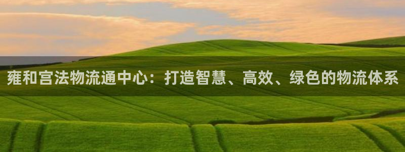 ,优游国际app官网少林足球：雍和宫法物流通中心：打造智慧、