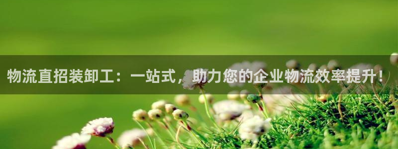 ,优游国际充值不到账什么原因：物流直