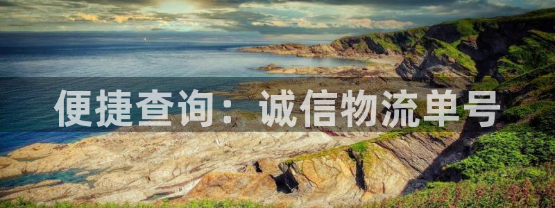 ,优游国际忘记账号:便捷查询:诚信物