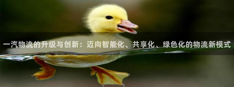 ,优游国际注册过了警察知道吗:一汽物