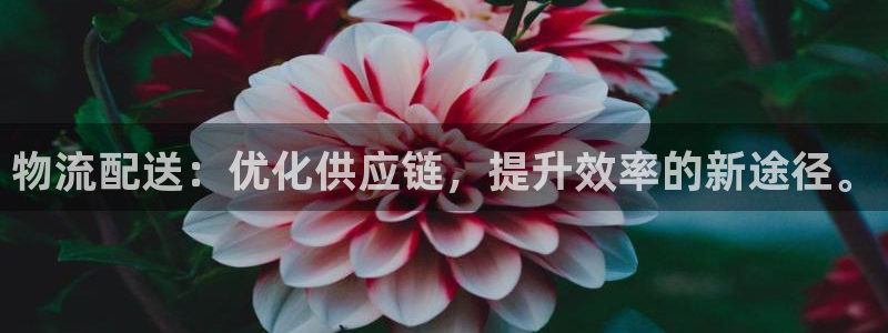 ,优游国际开奖预测：物流配送：优化供