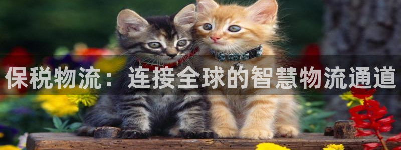 ,优游国际官网预测：保税物流：连接全球的智慧物流通道