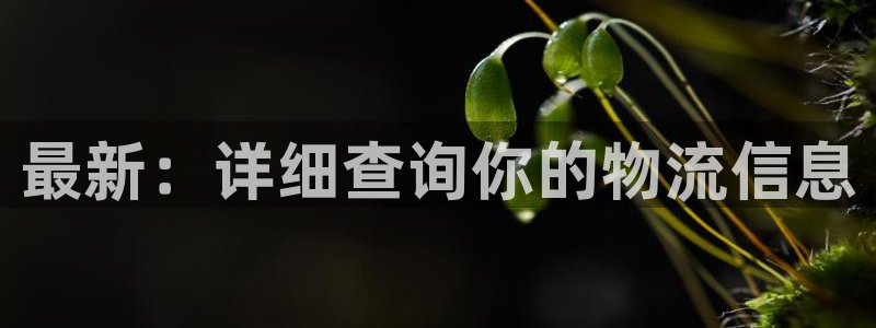 ,优游国际正规吗：最新：详细查询你的