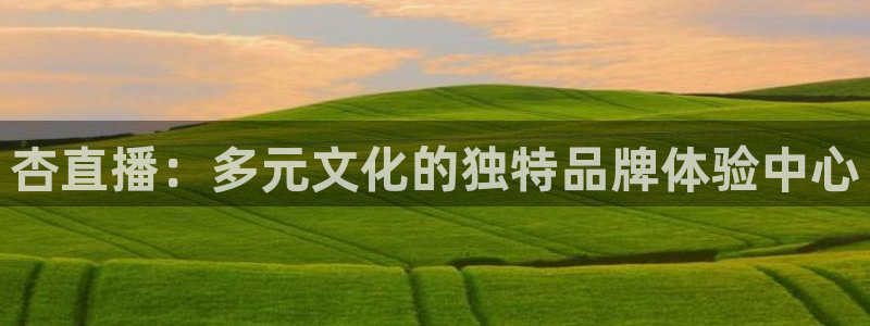 黑白直播足球比赛：杏直播：多元文化的独特品牌体验中心