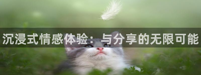 黑白体育高清直播：沉浸式情感体验：与分享的无限可能