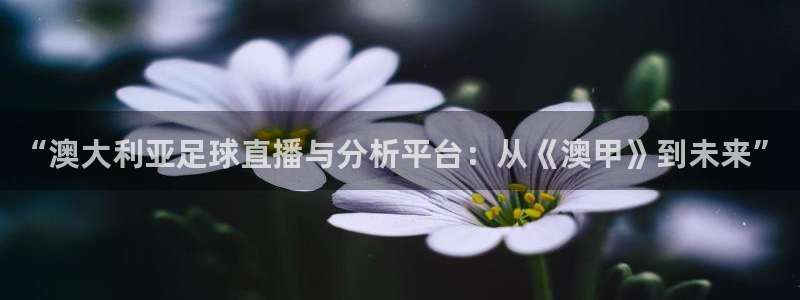 黑白直播体育app下载ios
