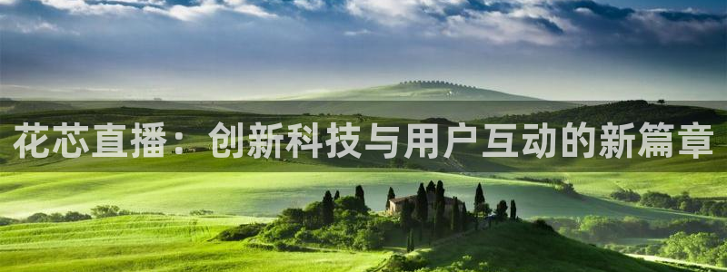 黑白直体育直播：花芯直播：创新科技与用户互动的新篇章