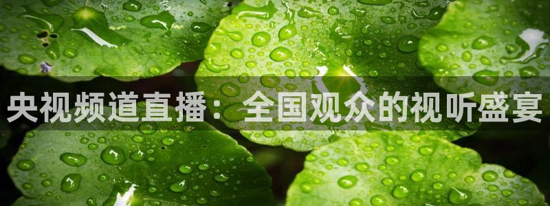 黑白直播nba在线观看回放：央视频道直播：全国观众的视听盛宴