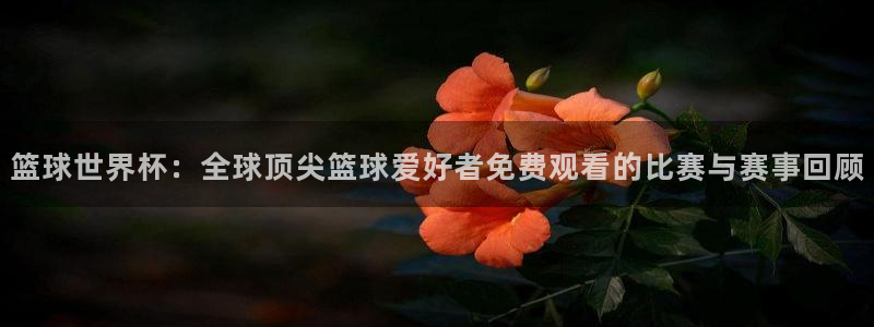 黑白直播吧nba直播：篮球世界杯：全球顶尖篮球爱好者免费观看的比赛与赛事回顾