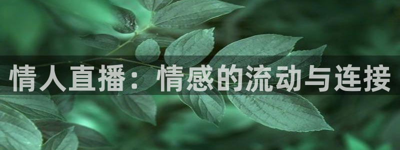 黑白体育直播在线观看篮球：情人直播：情感的流动与连接
