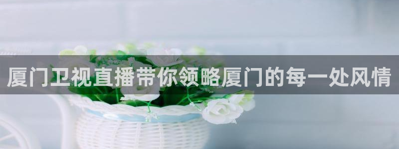 黑白nba免费直播在线观看：厦门卫视直播带你领略厦门的每一处风情