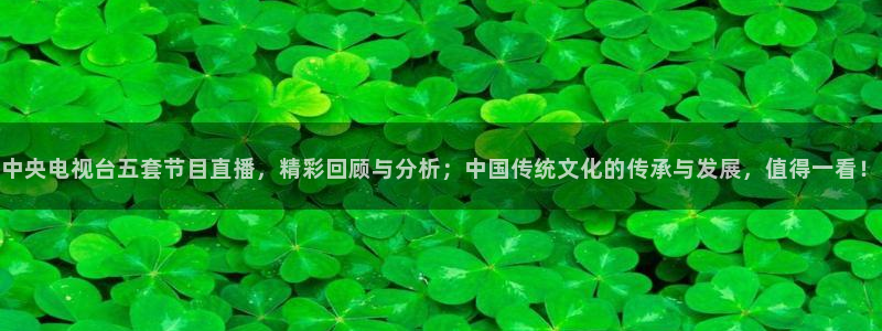 黑白体育直播nba：中央电视台五套节目直播，精彩回顾与分析；中国传统文化的传承与发展，值得一看！