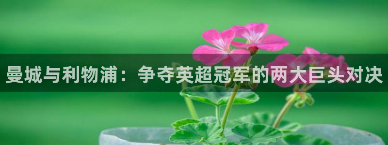 jrs黑白直播：曼城与利物浦：争夺英超冠军的两大巨头对决