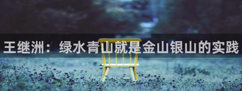 黑白体育直播下载：王继洲：绿水青山就是金山银山的实践