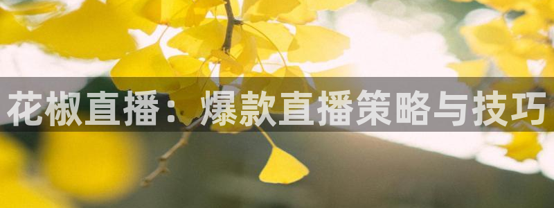 黑白直播下载：花椒直播：爆款直播策略与技巧