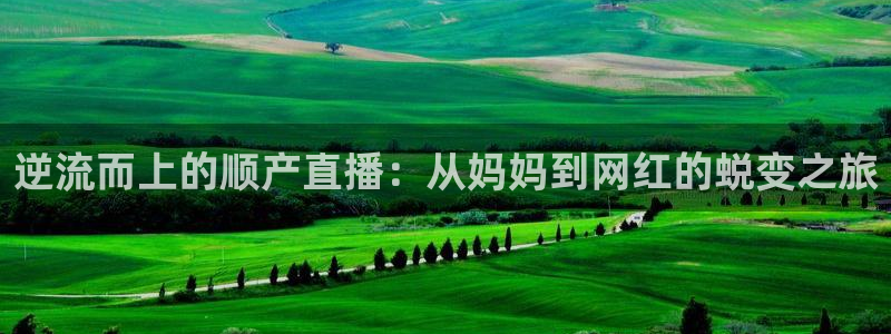 黑白直播免费体育直播下载：逆流而上的顺产直播：从妈妈到网红的蜕变之旅