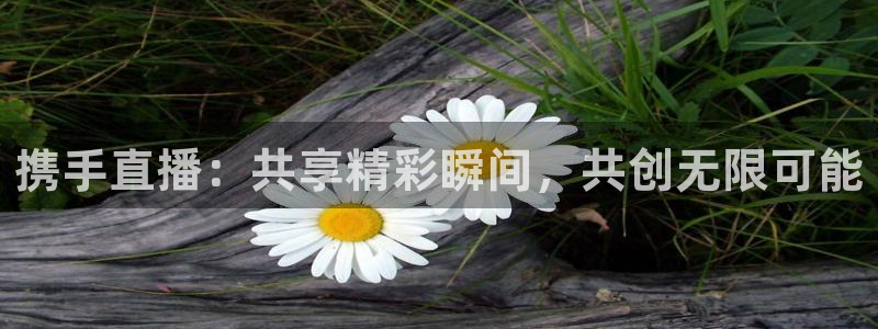黑白直播nba直播免费观看：携手直播：共享精彩瞬间，共创无限可能