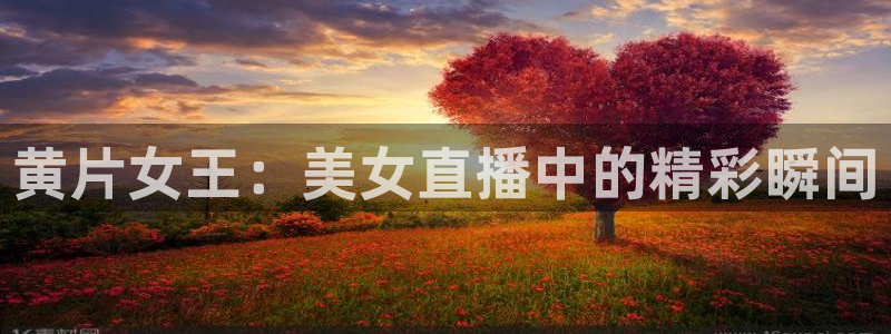 黑白体育直播吧：黄片女王：美女直播中的精彩瞬间