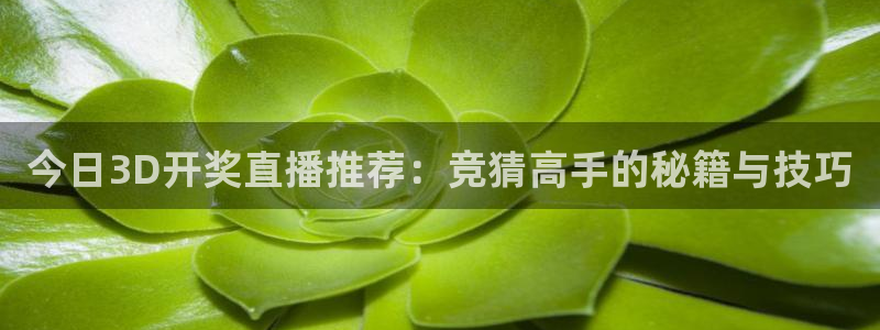 黑白直播足球直播：今日3D开奖直播推荐：竞猜高手的秘籍与技巧