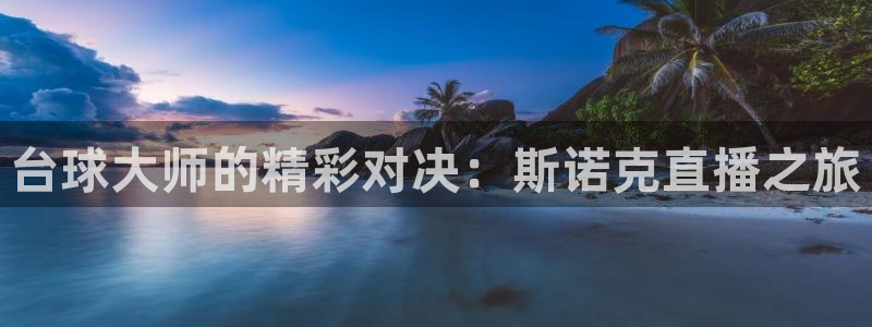 黑白直播免费体育直播：台球大师的精彩对决：斯诺克直播之旅